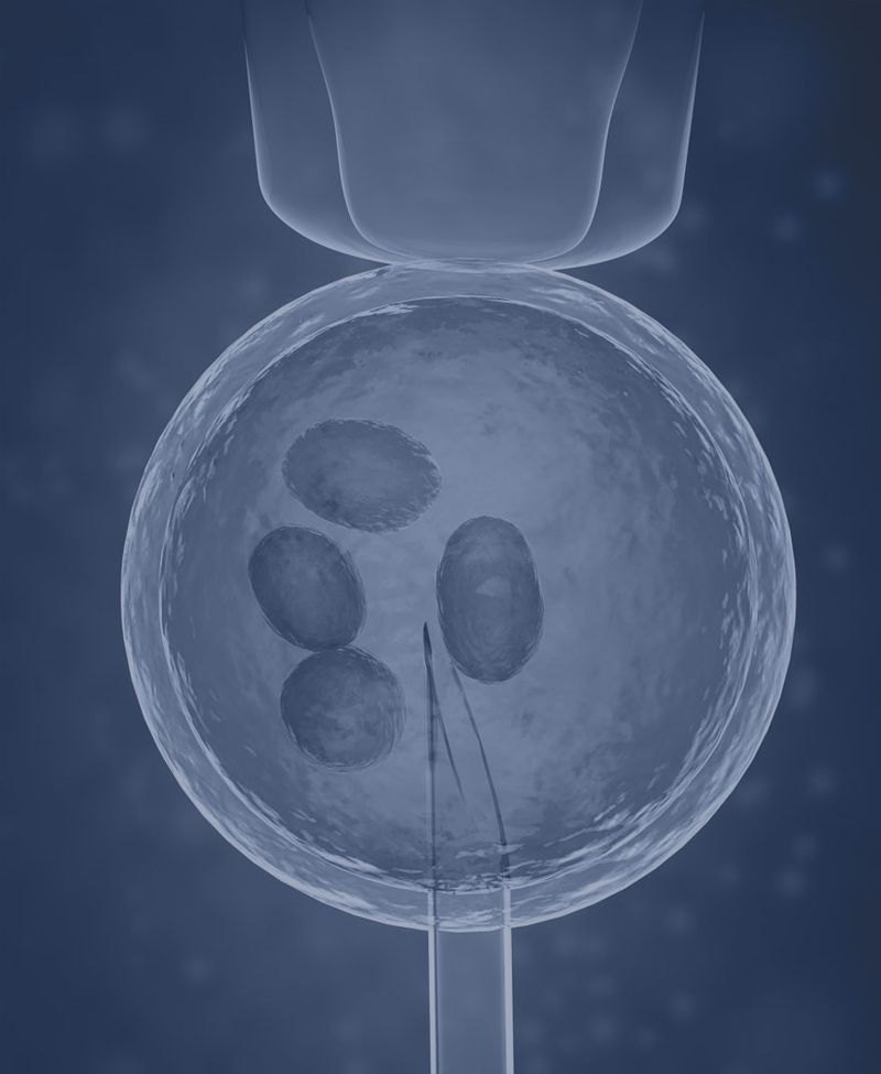 Saiba mais sobre a fertilização in vitro (FIV)